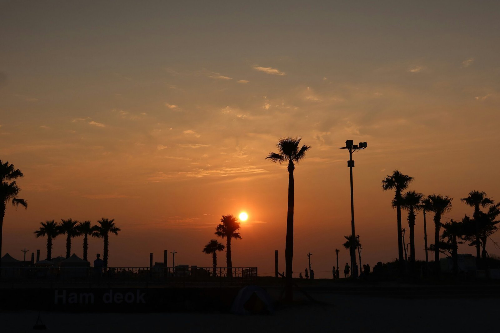 the sun is setting behind palm trees on the beach