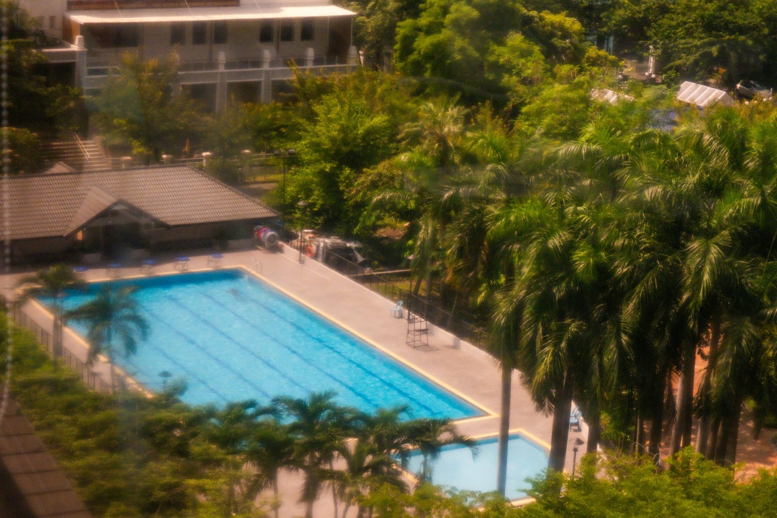 an aerial view of a swimming pool surrounded by trees